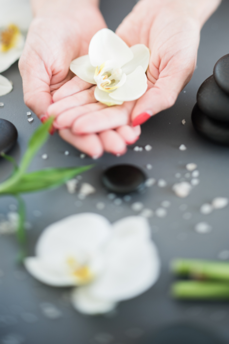 Hands Spa (stock photo)